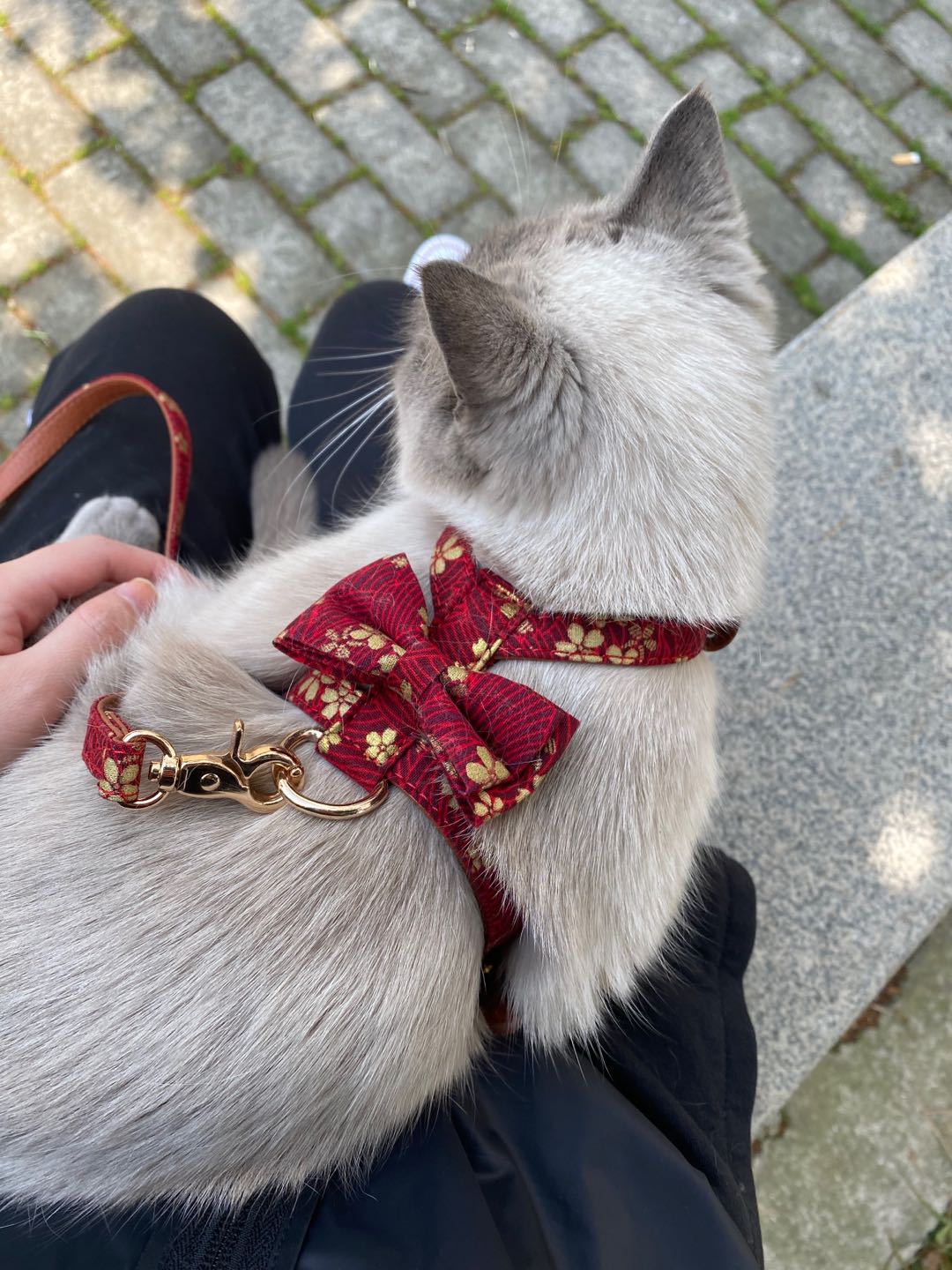 Dog / Cat Chest Harness Leash Set | Flower Style #BPS18068