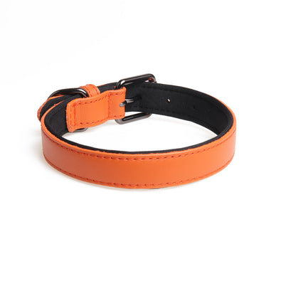 Cat Collar | Pet Fashion Collar # BPS18060